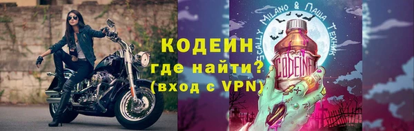 ГАЛЛЮЦИНОГЕННЫЕ ГРИБЫ Вязники